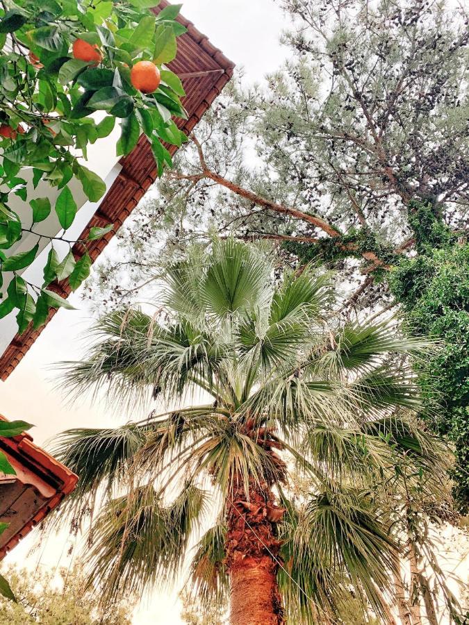Villa Anais พริโนส ภายนอก รูปภาพ